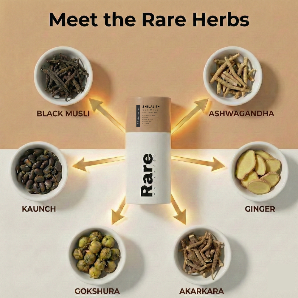 Shilajit+ Gummies for Vitality , Strength and Stamina - Set of 2 ( Total 60 Gummies)